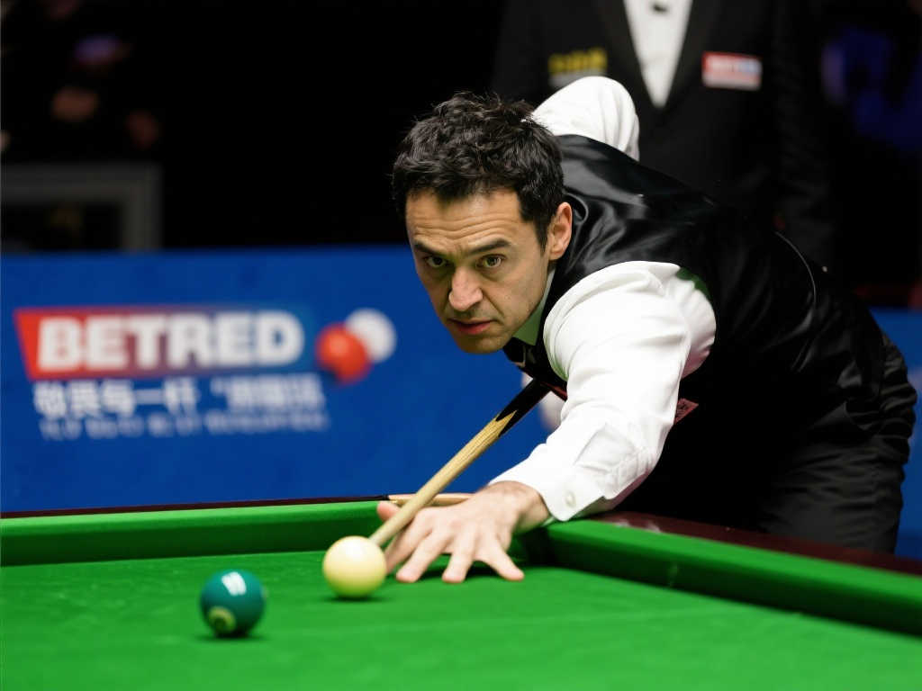 来西亚的羽 来西亚的羽